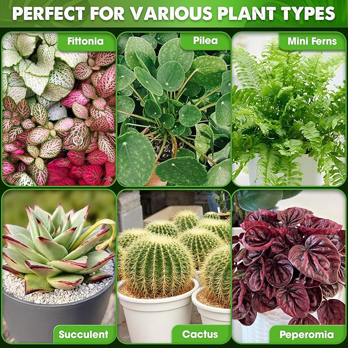 DUSPRO Recycle Premium 6in1 Terrarium Soil Mix – Pre-Mixed Terrarium Substrate - Image 5