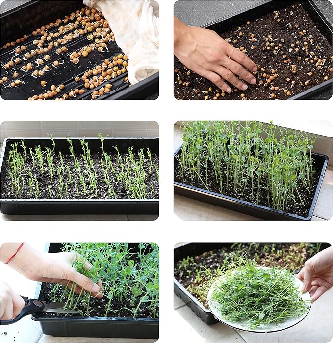 Mr. Pen- Plastic Growing Trays, Plant Tray, Seed Tray, Seedling Tray, - Image 8