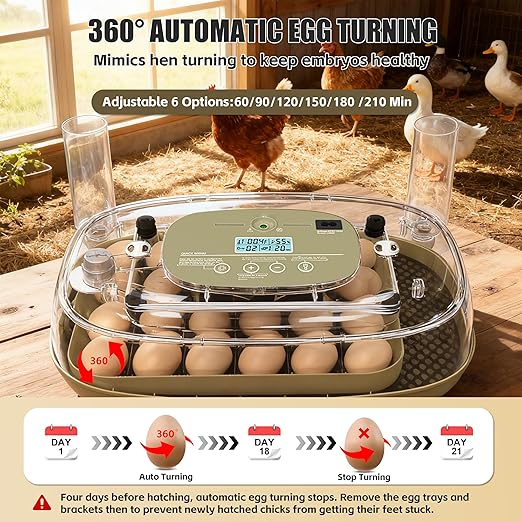 Incubators for Hatching Eggs, 24 Egg Incubator - Image 3