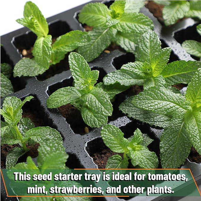 Mr. Pen- Seed Starter Tray Kits, 10 Pack, Total 400 Cells, Durable Plant - Image 6