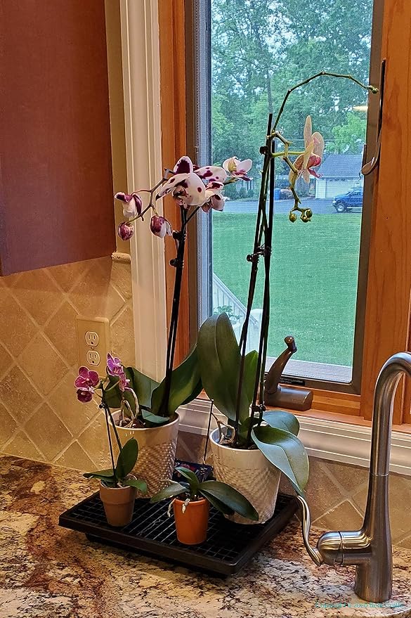 HT-101 Humidity Tray Black 10.5" x 13.5" x 2.25" - Image 8
