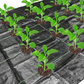 codree 13 x 4 Ft Garden Weed Barrier Landscape Fabric by codree