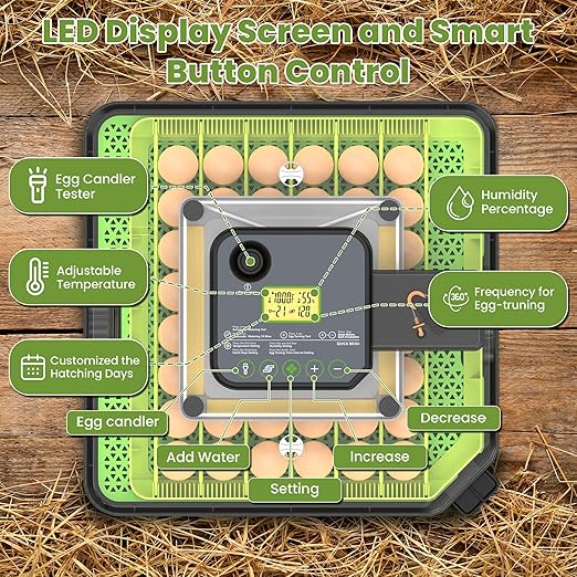 48 Egg Incubator for Hatching Eggs - Image 2