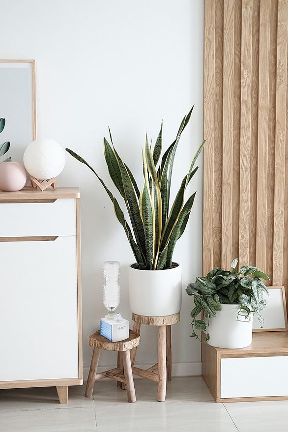 Comfort Zone Ultrasonic Turn Bottle into into Personal Portable Humidifier - Image 5