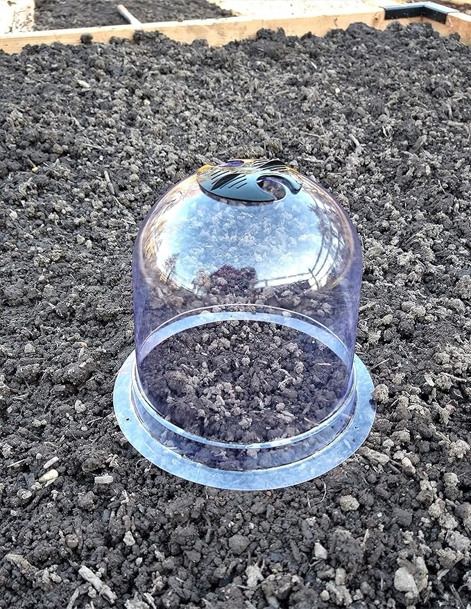 6-Pack! GrowAway Small Reusable Plastic Mini Greenhouse, Garden Cloche Dome - Image 4