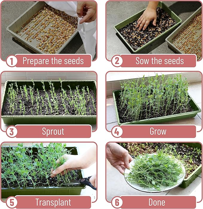 Mr. Pen-Plastic Growing Trays, 5 Pack, Plant Tray, Seed Tray, Propagation Tray - Image 5